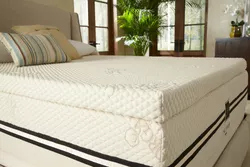 Plushbeds Talalay Latex Matrastoppers